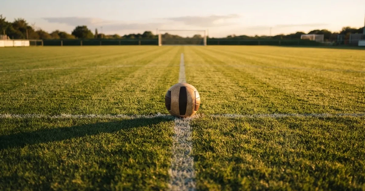 Ein Fussball liegt auf dem Mittelkreis eines Rasenfelds, die weissen Linien kreuzen sich auf dem gepflegten Gras im warmen Abendlicht.