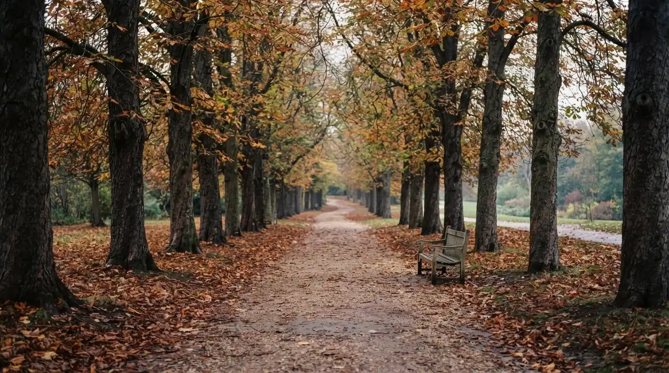 Eine Parkallee mit Kastanienbäumen und einer leeren Bank, Herbstlaub bedeckt den Kiesweg.