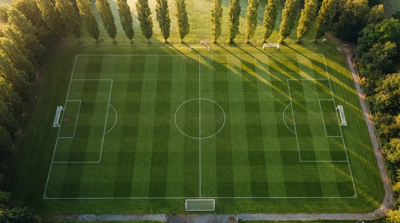 Ein leerer Fussballplatz mit weissen Linien von oben gesehen im Morgenlicht, am Rand stehen zwei Tore und eine Reihe Pappeln.