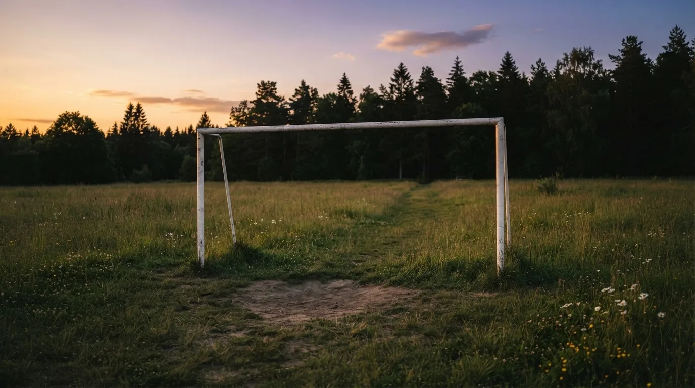 Ein Fussballtor ohne Netz steht auf einer Wiese am Waldrand, die Abenddämmerung färbt den Himmel orange.